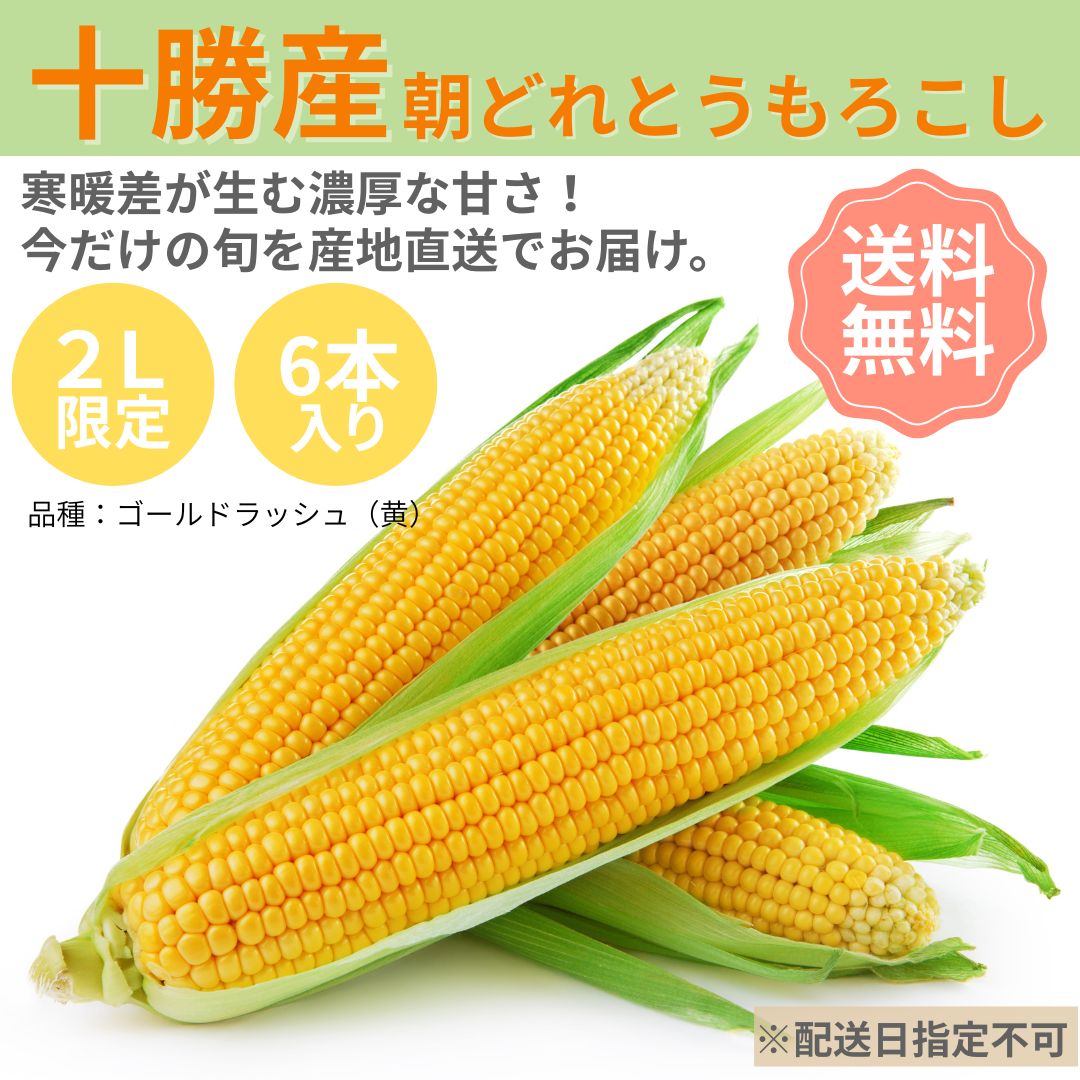 十勝産とうもろこし【黄・ゴールドラッシュ6本】　【朝どれ】　【産地直送】　【送料無料】