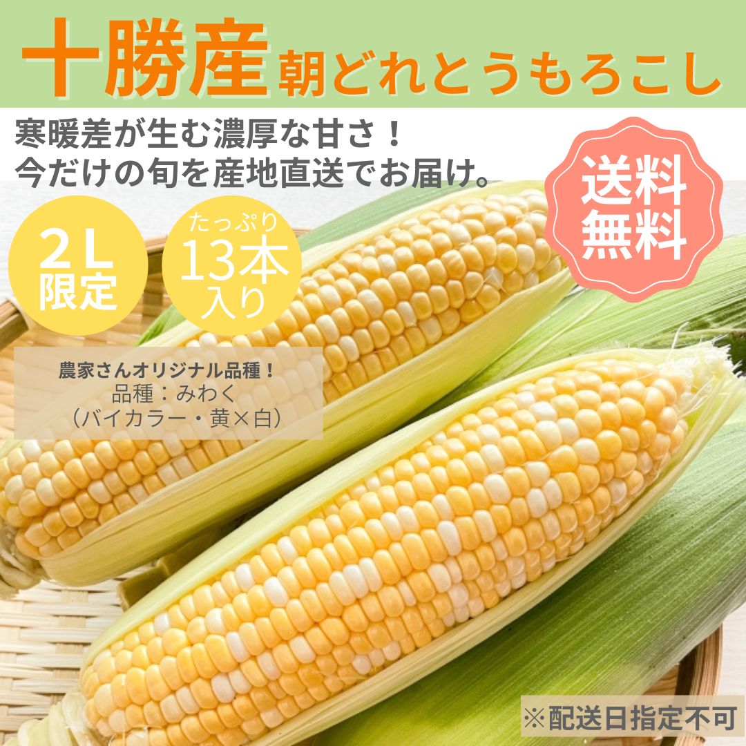 十勝産とうもろこし【オリジナル品種みわく】【バイカラー（黄×白）13本】　【朝どれ】　【産地直送】　【送料無料】