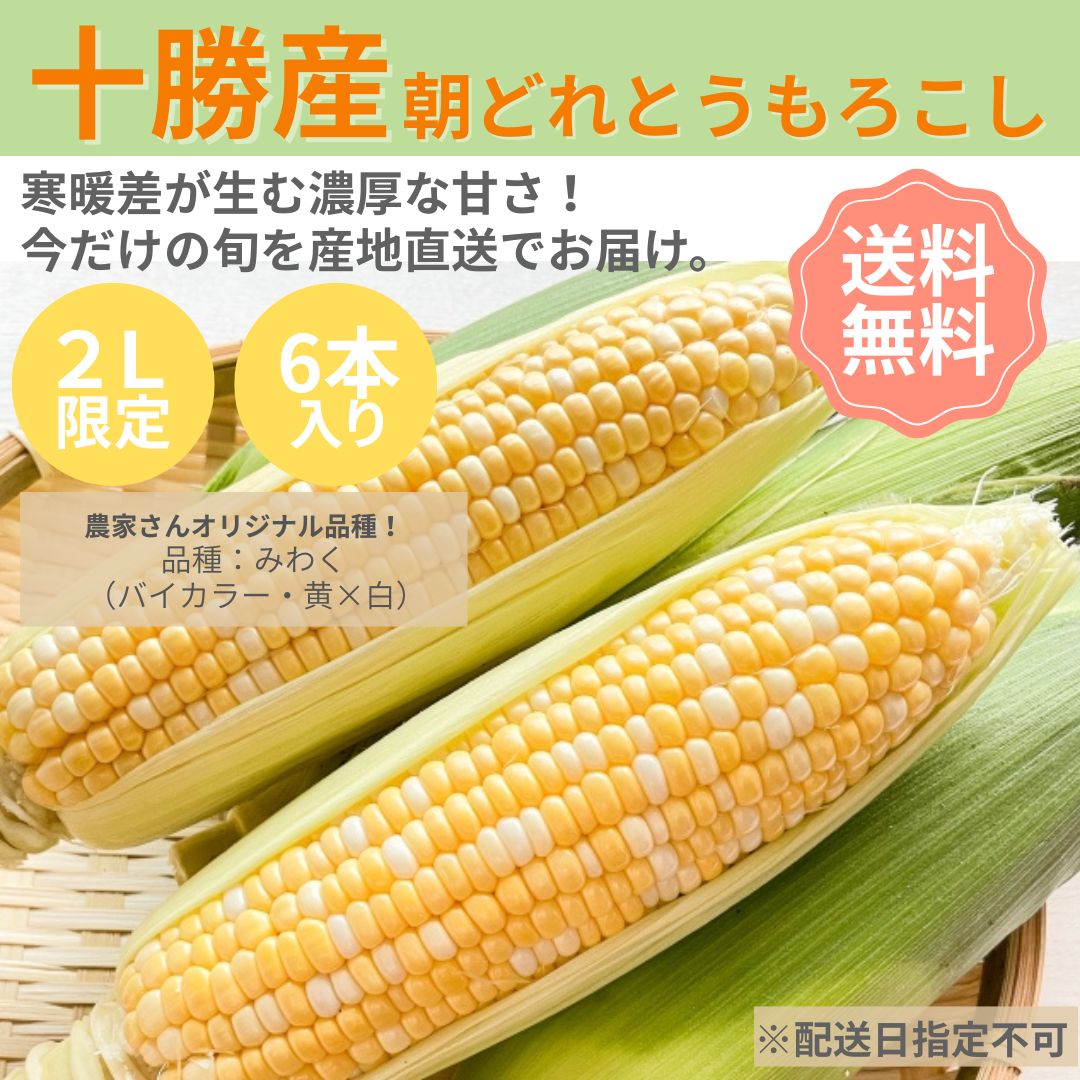 十勝産とうもろこし【オリジナル品種みわく】【バイカラー（黄×白）6本】　【朝どれ】　【産地直送】　【送料無料】